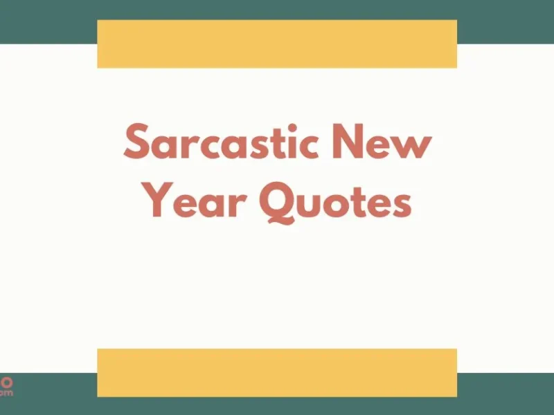 Sarcastic New Year Quotes